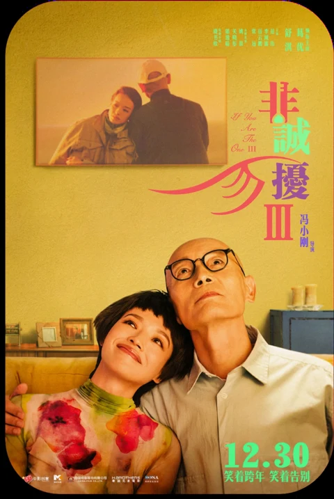 非诚勿扰Ⅲ电影海报,来自公司介绍